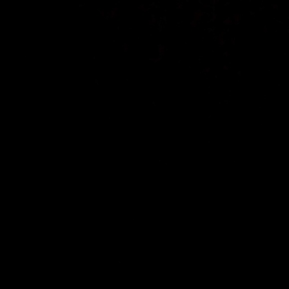 Meet your Posher, Libby - Picture 1 of 1